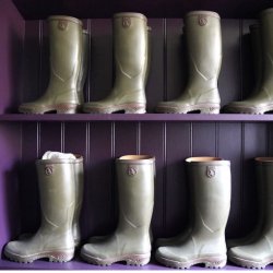 Aigle Parcours ll khaki